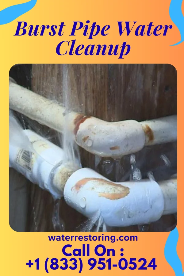 Burst Pipe Water Cleanup in Shinglehouse, PA