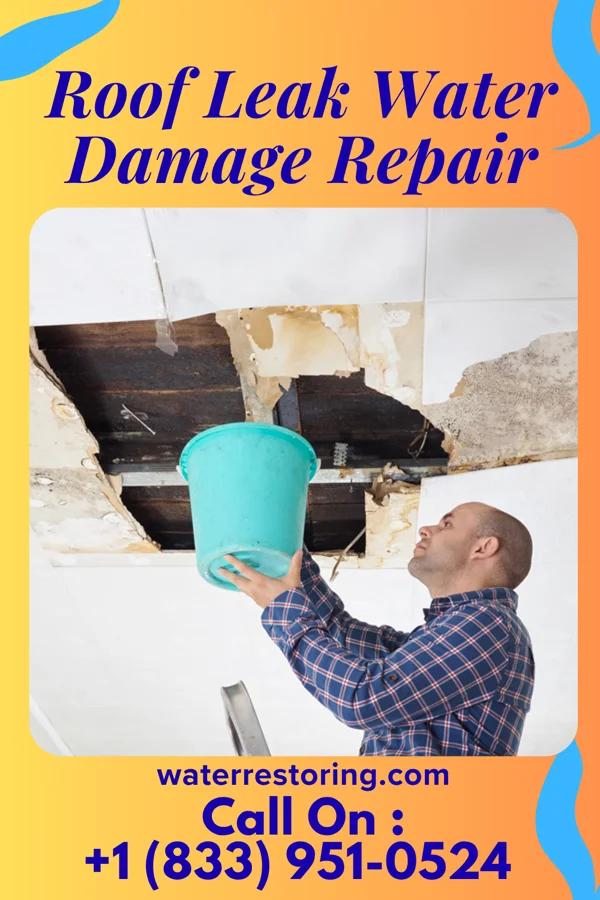 Roof Leak Water Damage Repair in Shinglehouse, PA