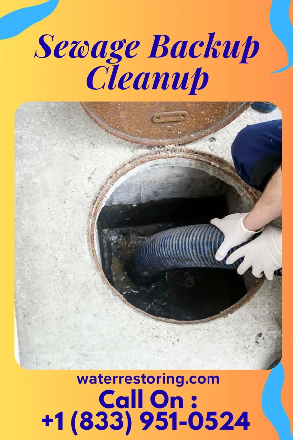 Sewage Backup Cleanup in Shinglehouse, PA