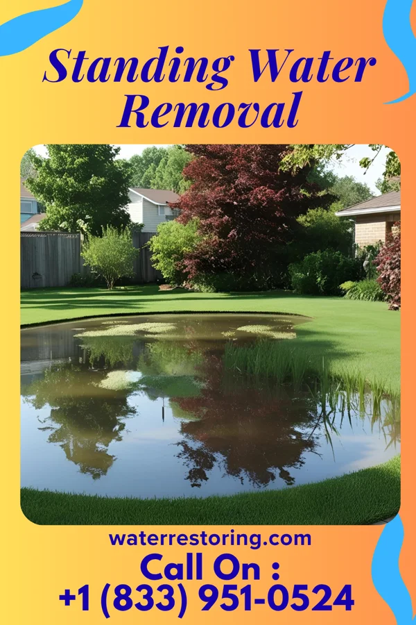 Standing Water Removal in Shinglehouse, PA